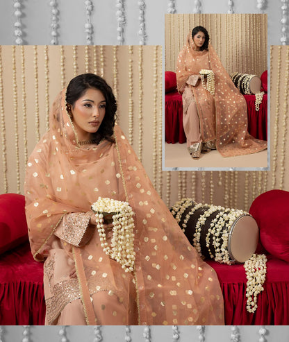 Chamkeli article 2646/B in Blush Peach; catalog image 4.